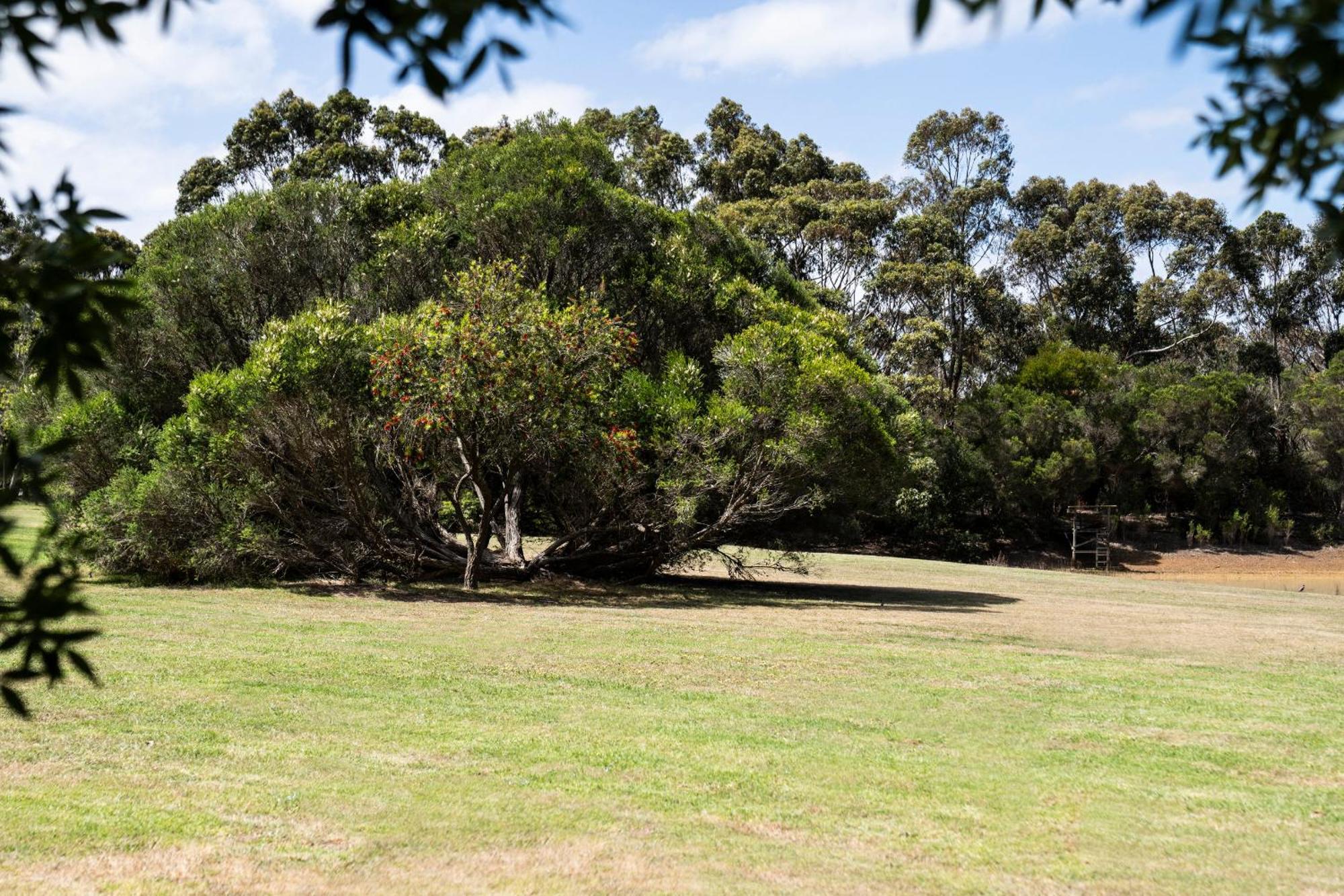 Bells Beach Cottages Bellbrae Exterior foto